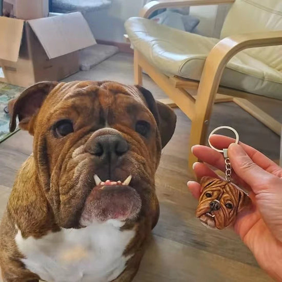 Personalized Pet Keychain